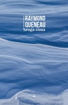 ebook Sroga zima - Raymond Queneau