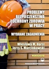 ebook Problemy bezpieczeństwa i ochrony zdrowia w pracy. Wybrane zagadnienia - Horst Wiesława M.,Marcinkowski Jerzy S.