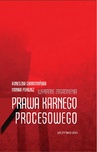 ebook Wybrane zagadnienia prawa karnego procesowego - Agnieszka Choromańska,Monika Porwisz