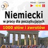 ebook Niemiecki w pracy. 1000 podstawowych słów i zwrotów - Dorota Guzik