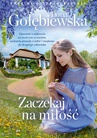 ebook Zaczekaj na miłość - Ilona Gołębiewska