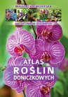 ebook Atlas roślin doniczkowych - Małgorzata Mederska