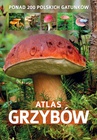ebook Atlas grzybów - Patrycja Zarawska