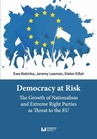 ebook Democracy at Risk - Ewa Rokicka,Jeremy Leaman,Dieter Eißel