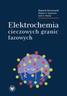 ebook Elektrochemia cieczowych granic fazowych - Zbigniew Koczorowski,Zbigniew A. Figaszewski,Aneta D. Petelska