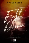 ebook Fast Driver - Aniela Mey