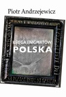 ebook Księga enigmatów. Polska - Piotr Andrzejewicz