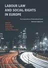 ebook Labour Law and Social Rights in Europe - 