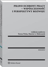 ebook Prawo ochrony pracy - współczesność i perspektywy rozwoju - Teresa Wyka,Marcin Mielczarek