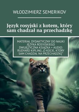 ebook Język rosyjski z kotem, który sam chadzał na przechadzkę