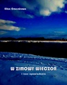 ebook W zimowy wieczór i inne opowiadania - Eliza Orzeszkowa