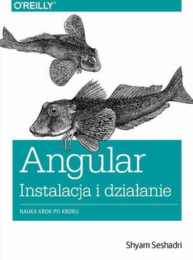 ebook Angular instalacja i działanie