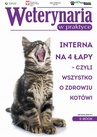 ebook Interna na 4 łapy – czyli wszystko o zdrowiu kotów - praca zbiorowa
