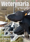 ebook Bydło - poznaj przypadki z terenu - praca zbiorowa