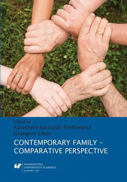 ebook Contemporary Family – Comparative Perspective