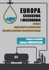 ebook Europa Środkowa i Wschodnia wobec wybranych problemów bezpieczeństwa energetycznego - 