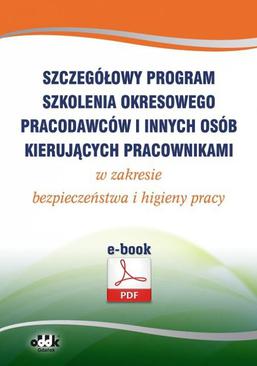 ebook Szczegółowy program szkolenia okresowego pracodawców i innych osób kierujących pracownikami w zakresie bezpieczeństwa i higieny pracy (e-book)