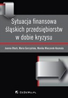 ebook Sytuacja finansowa śląskich przedsiębiorstw w dobie kryzysu - Joanna Błach,Monika Wieczorek-Kosmala,Maria Gorczyńska