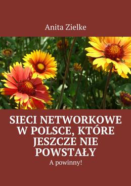 ebook Sieci networkowe w Polsce, które jeszcze nie powstały, a powinny!