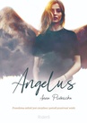 ebook Angelus - Anna Piwnicka