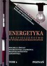 ebook Energetyka w Wyzwaniach Badawczych - Piotr Kwiatkiewicz,Radosław Szczerbowski