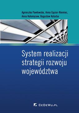 ebook System realizacji strategii rozwoju województwa
