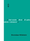 ebook Jak woda, Brat, O zdradzie i śmierci - Bronisław Wildstein