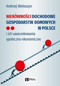 ebook Nierówności dochodowe gospodarstw domowych w Polsce