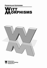 ebook Witt morphisms - Przemysław Koprowski