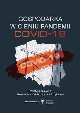 ebook Gospodarka w cieniu pandemii Covid-19