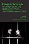ebook Prawa i obowiązki osób odbywających karę pozbawienia wolności i opuszczających zakłady karne - 