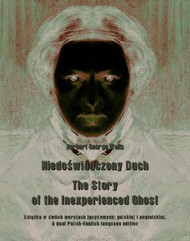 ebook Niedoświadczony Duch. The Story of the Inexperienced Ghost