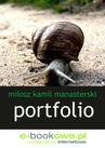 ebook Portfolio - Miłosz Kamil Manasterski