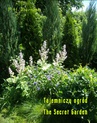 ebook Tajemniczy ogród. The Secret Garden - Frances Hodgson Burnett