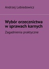ebook Wybór orzecznictwa w sprawach karnych - Andrzej Lebiedowicz
