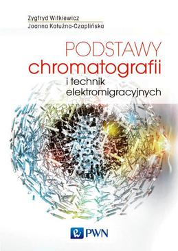 ebook Podstawy chromatografii i technik elektromigracyjnych
