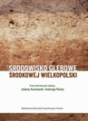 ebook Środowisko glebowe środkowej Wielkopolski - 