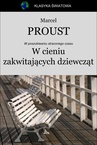 ebook W cieniu zakwitających dziewcząt - Marcel Proust