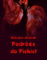 ebook Podróże do piekieł - Bolesław Miciński