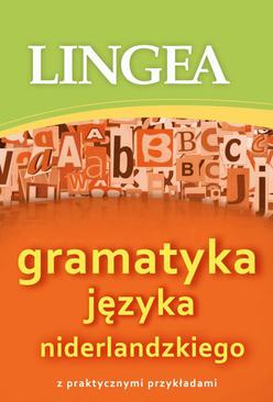 ebook Gramatyka języka niderlandzkiego z praktycznymi przykładami