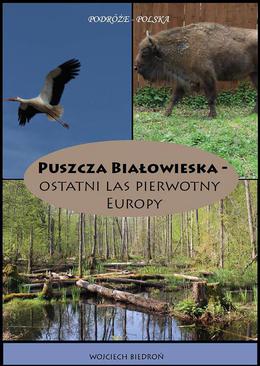 ebook Puszcza Białowieska - Ostatni las pierwotny Europy