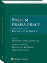 ebook System prawa pracy. TOM XI. Pragmatyki pracownicze - Zbigniew Góral,Krzysztof Wojciech Baran
