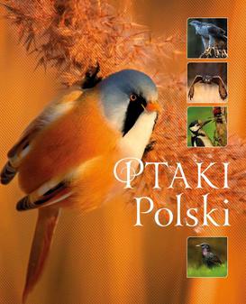 ebook Ptaki Polski (Wyd. 2016)