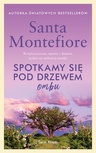 ebook Spotkamy się pod drzewem ombu - Santa Montefiore