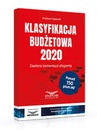 ebook Klasyfikacja budżetowa 2020 - Krystyna Gąsiorek