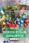 ebook Atlas dzikich roślin jadalnych - Monika Fijołek