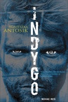 ebook Indygo - Agnieszka Antosik