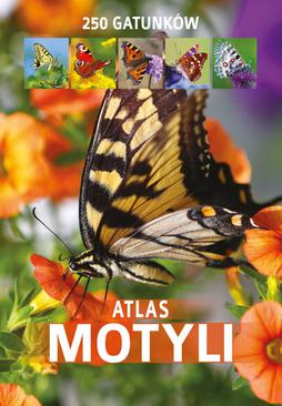 ebook Atlas motyli