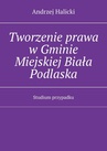 ebook Tworzenie prawa w Gminie Miejskiej Biała Podlaska - Andrzej Halicki