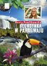 ebook Blondynka w Paragwaju - Beata Pawlikowska